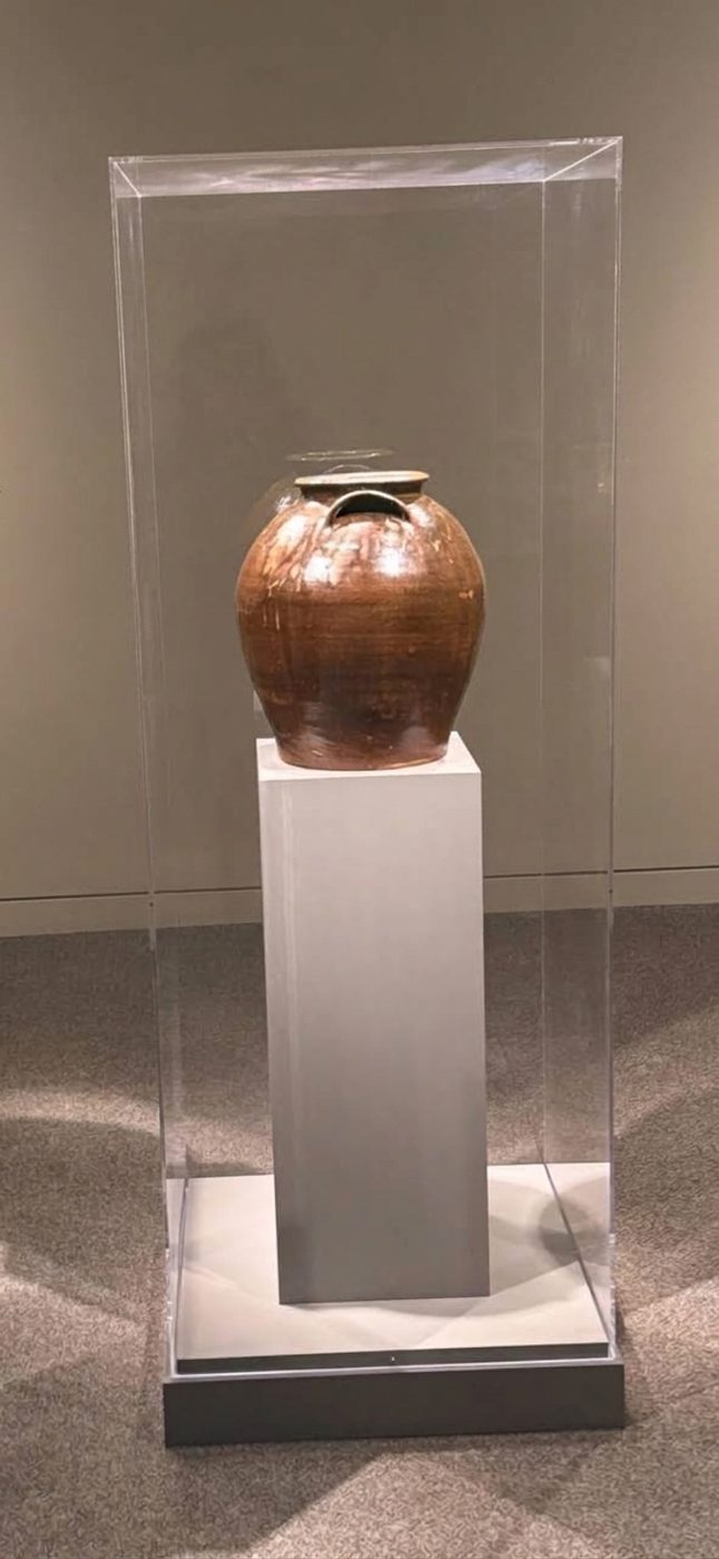 Museum Artifact Vitrine